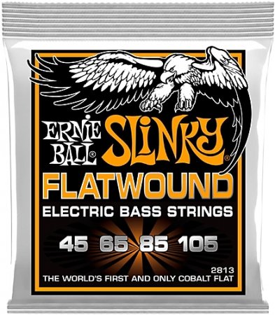   - Ernie Ball P02813