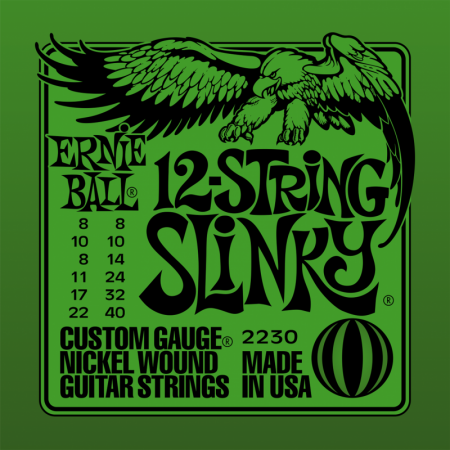    Ernie Ball 2230