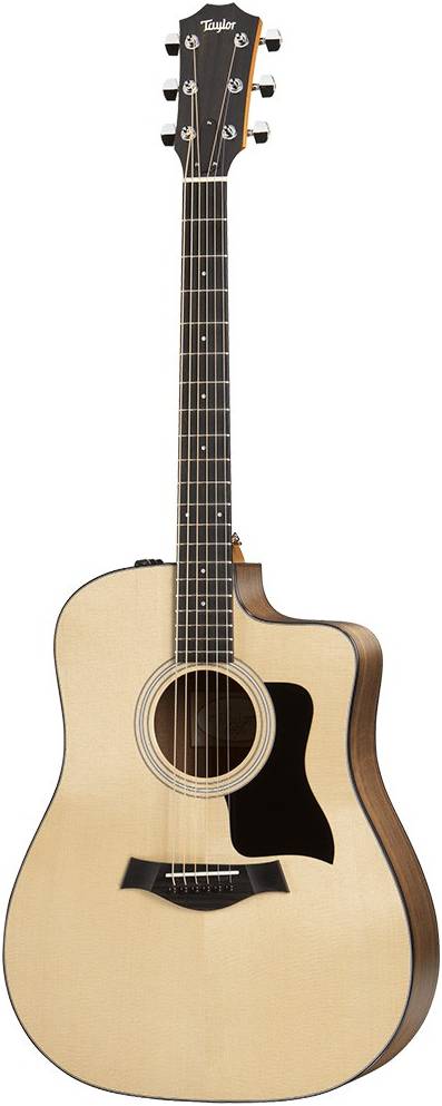   TAYLOR 110ce 100 Series