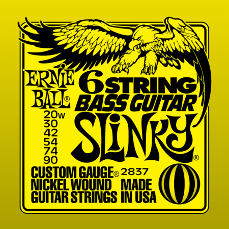   - Ernie Ball 2837