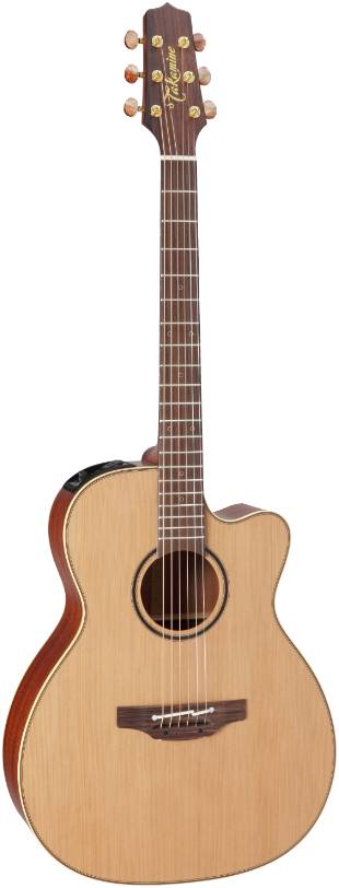   TAKAMINE PRO SERIES 3 P3MC