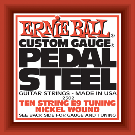    Ernie Ball 2502