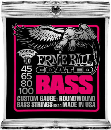   - Ernie Ball 3834