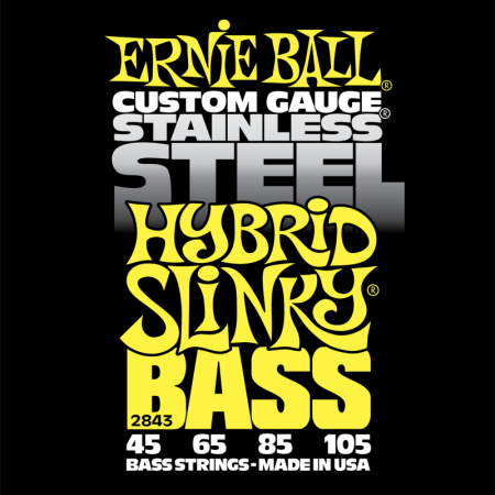   - Ernie Ball 2843