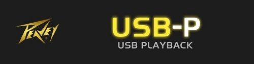  PEAVEY USB-P.jpg