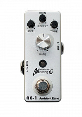   Ambient Echo Mustang TC-21