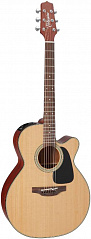   TAKAMINE PRO SERIES 1 P1NC