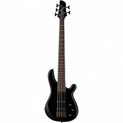 - FERNANDES G5X08 BLK