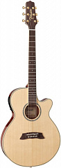   TAKAMINE TSP138CN