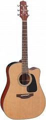   TAKAMINE PRO SERIES 1 P1DC