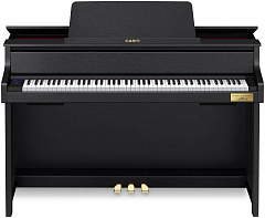   CASIO GP-310 BK