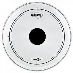   WILLIAMS DT2-7MIL-24